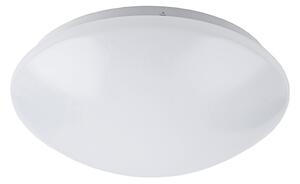 Rabalux 3436 - LED Stropna svjetiljka LUCAS 1xLED/24W/230V