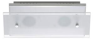 Briloner 3580-028 - LED stropno svjetlo LOFTY 2xLED/5W/230V