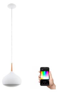 Eglo 97087 - LED RGBW Prigušiva viseća svjetiljka COMBA-C 1xLED/18W/230V