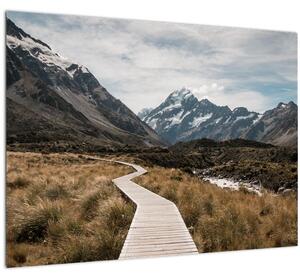Slika - Šetnica u dolini planine Mt. Cook (70x50 cm)