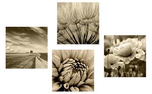 Set slika polje s cvijećem u sepijastom tonu