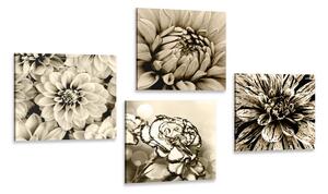 Set slika cvijeće u sepijastom tonu