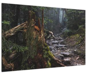 Slika - U šumi (90x60 cm)