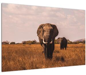 Slika - Dolazak slona (90x60 cm)