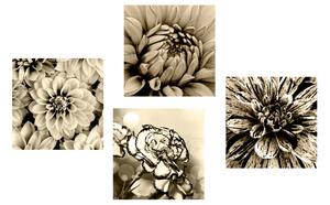 Set slika cvijeće u sepijastom tonu