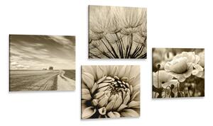 Set slika polje s cvijećem u sepijastom tonu