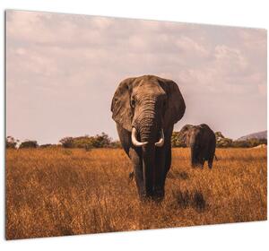 Slika - Dolazak slona (70x50 cm)