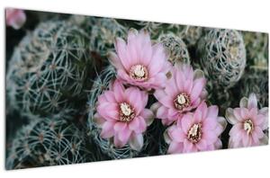 Slika cvijeta kaktusa (120x50 cm)