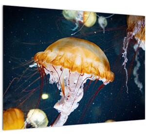 Slika meduze (70x50 cm)