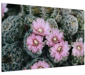Slika cvijeta kaktusa (90x60 cm)
