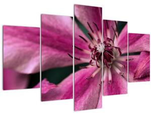 Slika ružičastog cvijeta klematisa (150x105 cm)