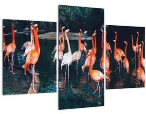 Slika jata flaminga (90x60 cm)