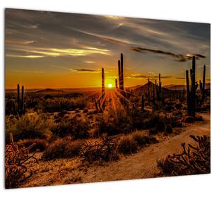 Staklena slika - Kraj dana u pustinji Arizona (70x50 cm)
