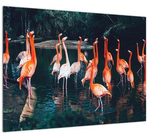 Slika jata flaminga (70x50 cm)