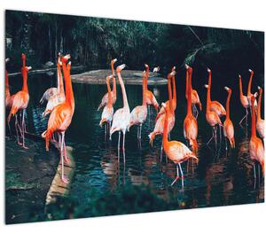 Slika jata flaminga (90x60 cm)