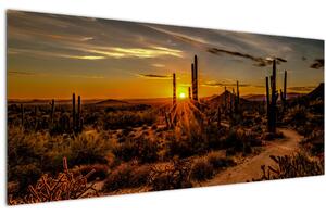 Slika - Kraj dana u pustinji Arizona (120x50 cm)