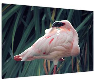 Slika - Flamingo (90x60 cm)