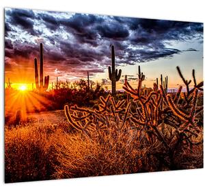Staklena slika - Zlatni sat pustinje (70x50 cm)