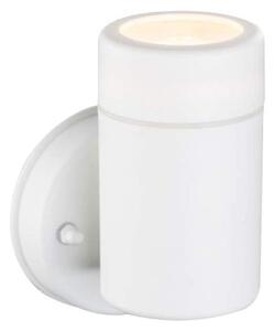 GLOBO 32004-1 - Vanjska zidna svjetiljka COTOPA 1xGU10/5W/230V bijela