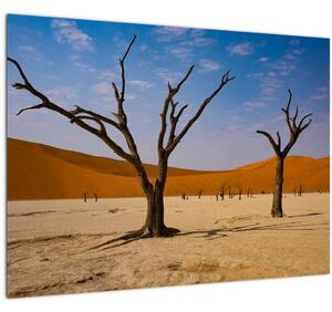 Slika - Dolina smrti (70x50 cm)
