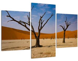 Slika - Dolina smrti (90x60 cm)