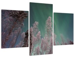 Slika polarne svjetlosti nad zaleđenim drvećem (90x60 cm)