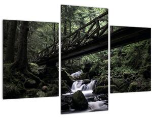 Slika crne šume (90x60 cm)