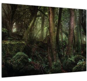 Slika - Tajanstvena šuma (70x50 cm)
