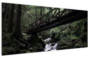 Slika crne šume (120x50 cm)
