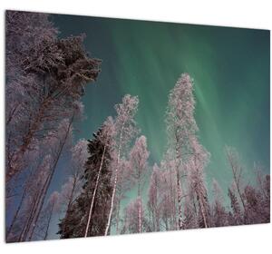 Slika polarne svjetlosti nad zaleđenim drvećem (70x50 cm)
