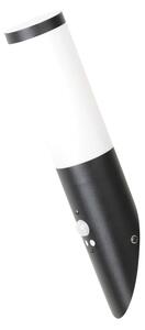 Rabalux 8146 - Vanjska zidna svjetiljka sa senzorom BLACK TORCH 1xE27/25W/230V