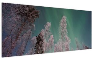 Slika polarne svjetlosti nad zaleđenim drvećem (120x50 cm)
