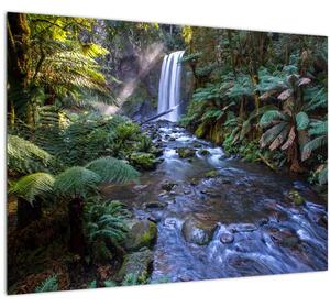 Slika australske kišne šume (70x50 cm)