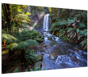 Slika australske kišne šume (90x60 cm)