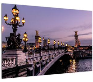 Slika - Most Aleksandra III. u Parizu (90x60 cm)