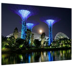 Slika punog mjeseca u singapurskim vrtovima (70x50 cm)