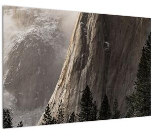 Slika doline nacionalnog parka Yosemite, SAD (90x60 cm)