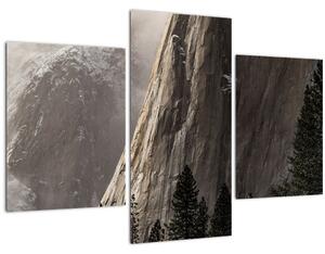 Slika doline nacionalnog parka Yosemite, SAD (90x60 cm)