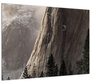 Slika doline nacionalnog parka Yosemite, SAD (70x50 cm)