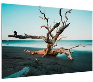 Slika - Naplavine na plaži (90x60 cm)