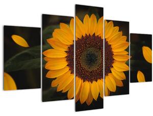 Slika - Suncokreti i latice cvijeta (150x105 cm)