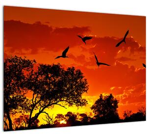 Slika ptica u zalasku sunca (70x50 cm)