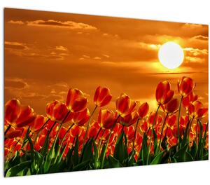 Slika cvatućeg polja s tulipanima (90x60 cm)