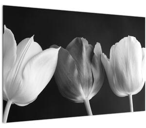 Slika - Crno-bijeli cvjetovi tulipana (90x60 cm)