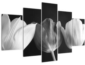 Slika - Crno-bijeli cvjetovi tulipana (150x105 cm)