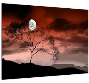 Slika - Mjesec koji osvjetljava noć (70x50 cm)
