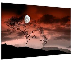 Slika - Mjesec koji osvjetljava noć (90x60 cm)