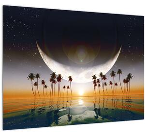 Slika - Mjesec iznad palmi (70x50 cm)