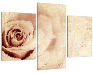 Slika - Cvijet ruže za zaljubljene (90x60 cm)