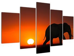 Slika slona u zalasku sunca (150x105 cm)